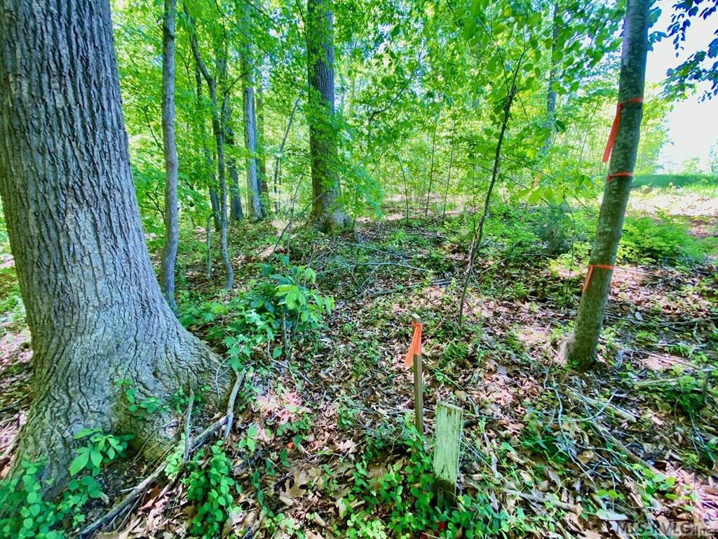 Right Front Corner - Lot 5 Palomino Road, Buffalo Junction VA 24529