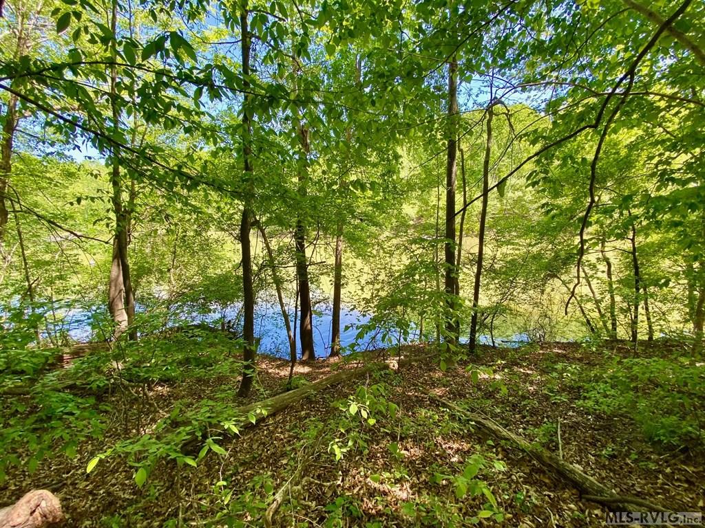 WaterFrontage - Lot 5 Palomino Road, Buffalo Junction VA 24529