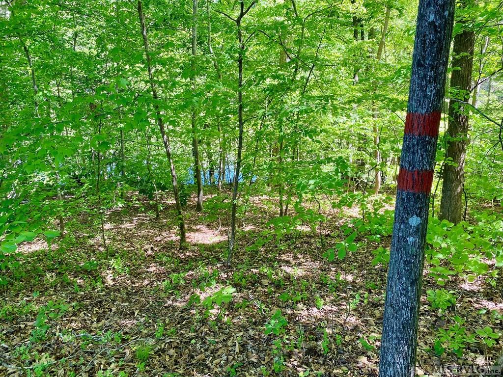 Middle Back of property - Lot 5 Palomino Road, Buffalo Junction VA 24529