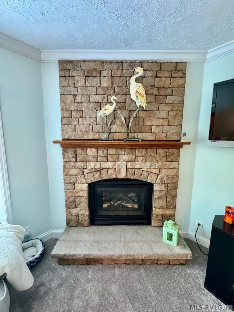 Family Room Detail - 285 Brady Way, Clarksville VA 23927