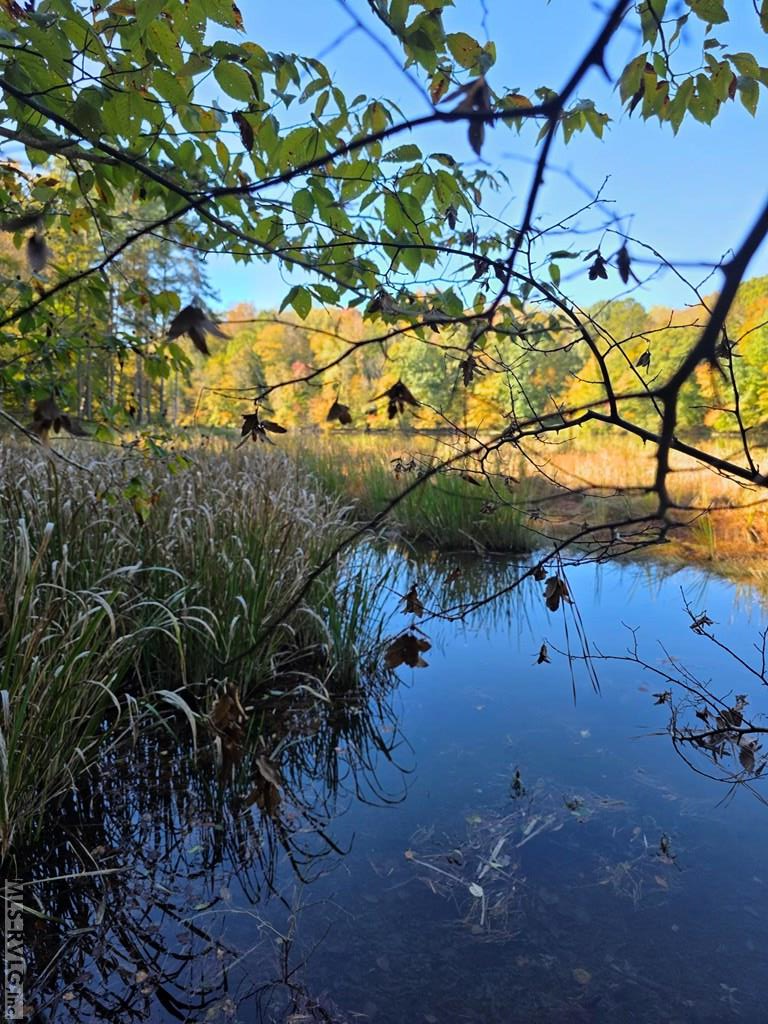 Residential Lot-Restricted at Lot 12 Canoe Creek, Gaston NC 27832, photo 5 of 8