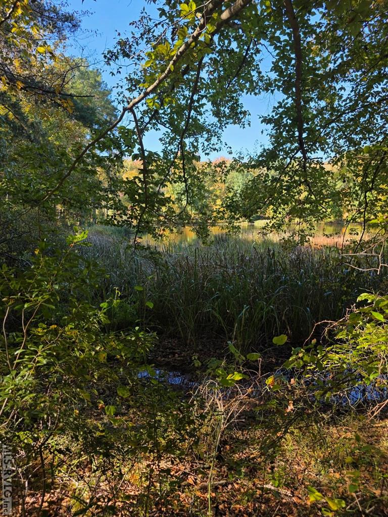 Residential Lot-Restricted at Lot 12 Canoe Creek, Gaston NC 27832, photo 7 of 8