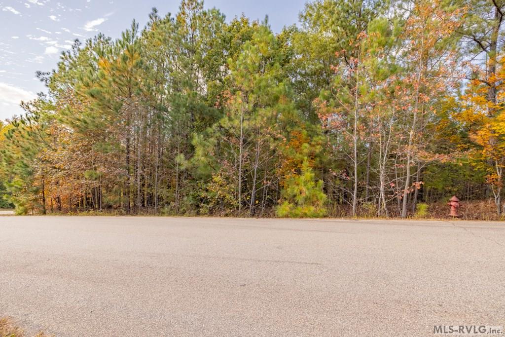 Residential Lot-Restricted at Lot 12 Canoe Creek, Gaston NC 27832, photo 8 of 8