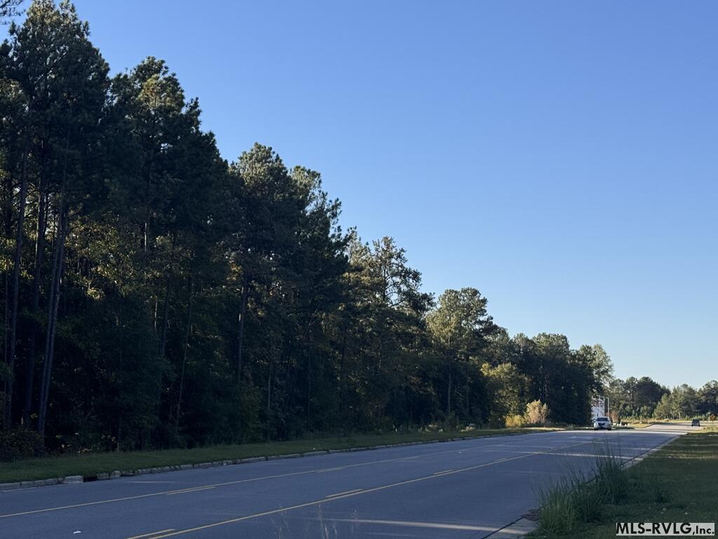 Acreage at Lots 2&3 Premier Blvd Ext, Roanoke Rapids NC 27870, photo 5 of 6