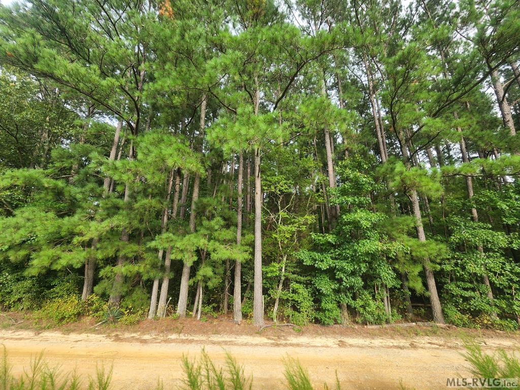 Main View - 263 Joe True Lane, Pleasant Hill NC 27866