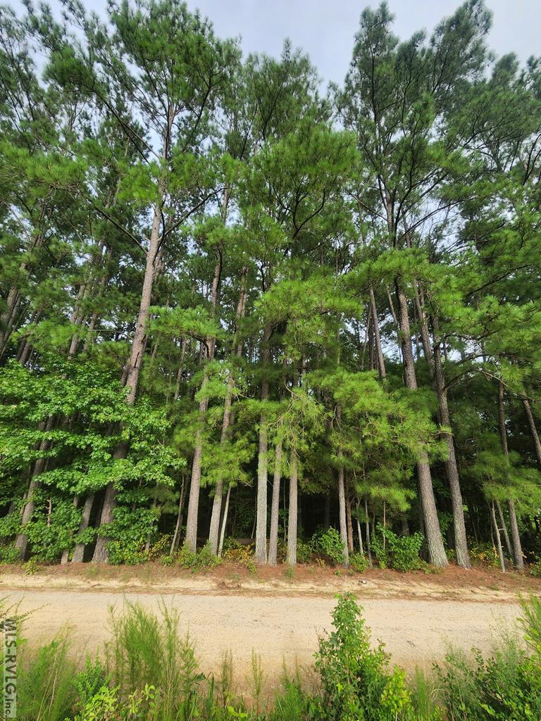 Acreage at 263 Joe True Lane, Pleasant Hill NC 27866, photo 2 of 8