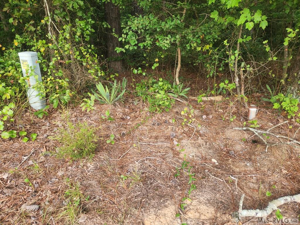 Property marker - 263 Joe True Lane, Pleasant Hill NC 27866