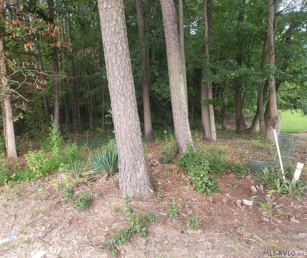 Property marker - 263 Joe True Lane, Pleasant Hill NC 27866