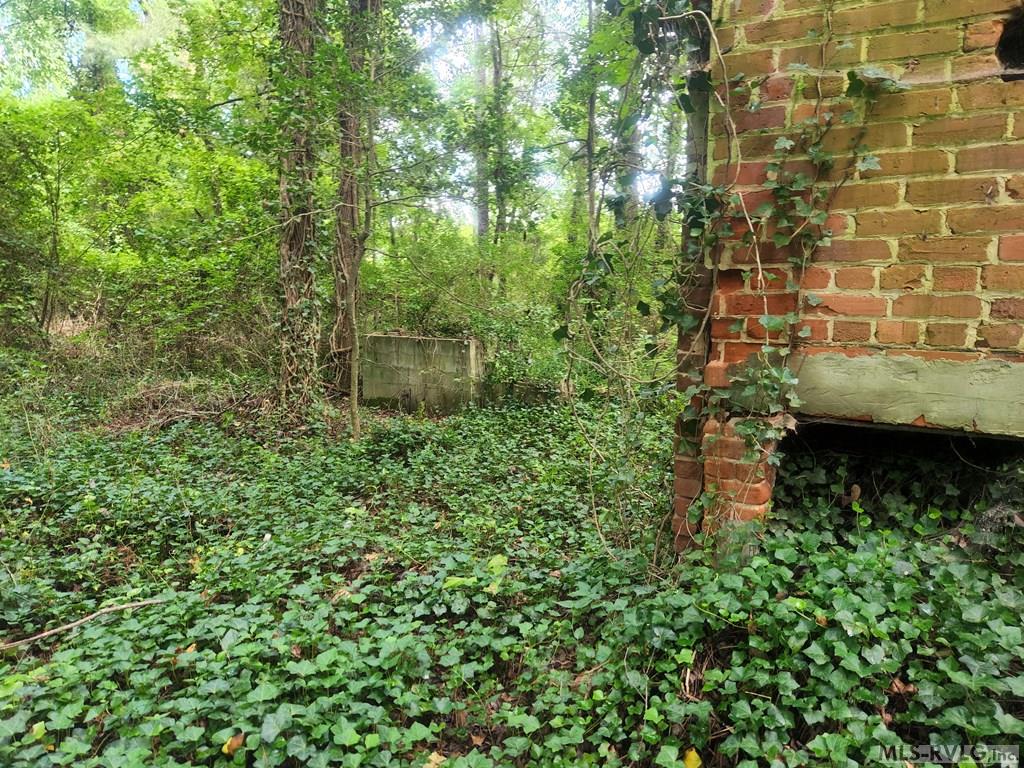 Old chimney - 263 Joe True Lane, Pleasant Hill NC 27866