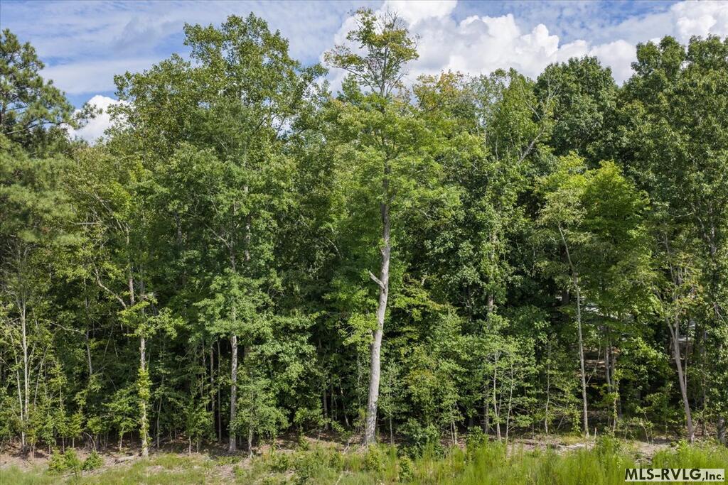Residential Lot-Restricted at Lot 42 Valentines St., Gasburg VA 23857, photo 11 of 14