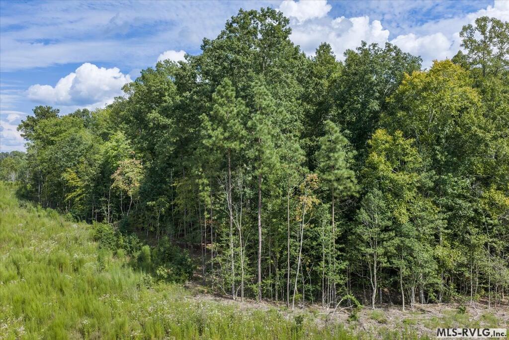 Residential Lot-Restricted at Lot 42 Valentines St., Gasburg VA 23857, photo 12 of 14