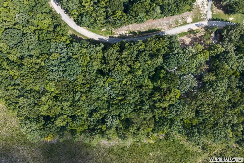 Residential Lot-Restricted at Lot 42 Valentines St., Gasburg VA 23857, photo 13 of 14