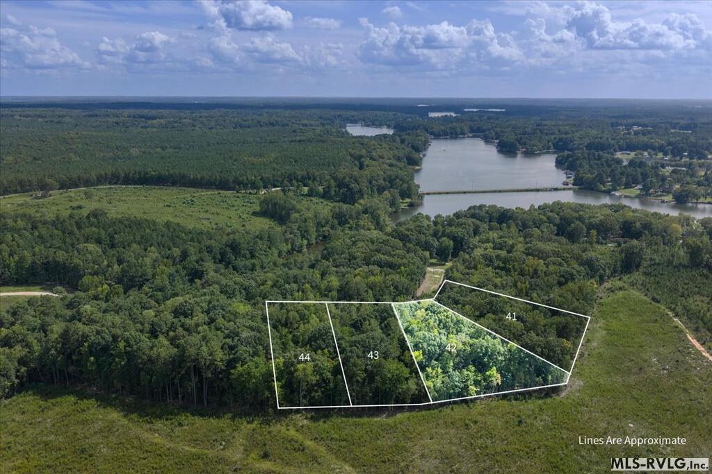 Residential Lot-Restricted at Lot 42 Valentines St., Gasburg VA 23857, photo 2 of 14