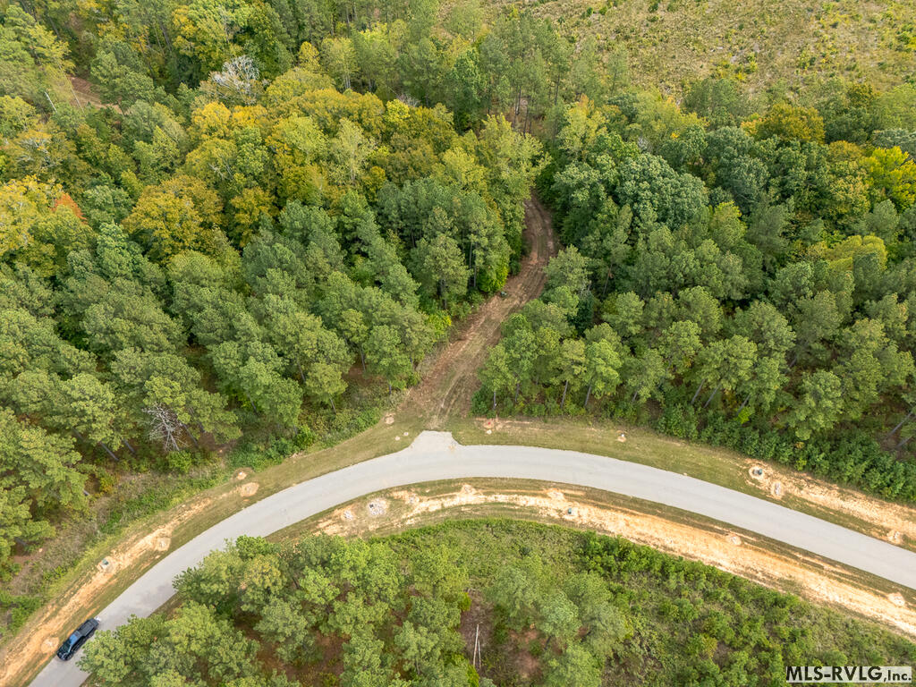 Acreage at 113 Sweet Water Creek Ct, Macon NC 27551, photo 12 of 14
