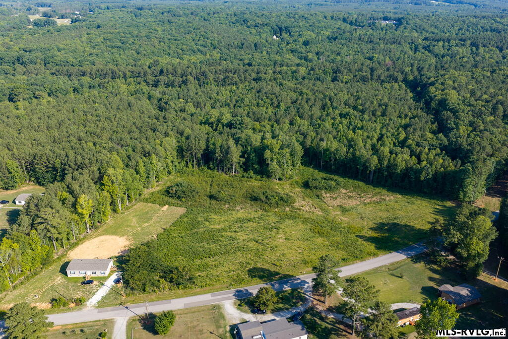 Acreage at Lot 2 Oak Road, Brodnax VA 23920, photo 2 of 24