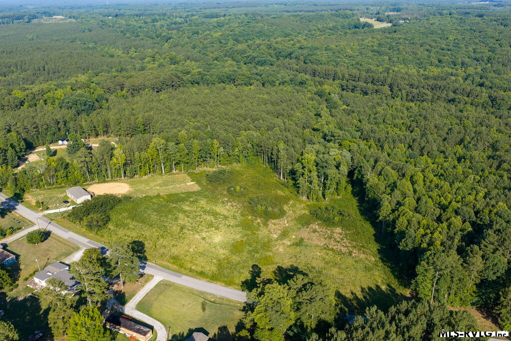 Acreage at Lot 2 Oak Road, Brodnax VA 23920, photo 6 of 24