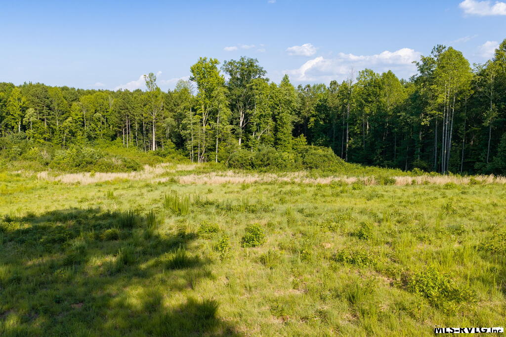 Acreage at Lot 4 Oak Road, Brodnax VA 23920, photo 17 of 24