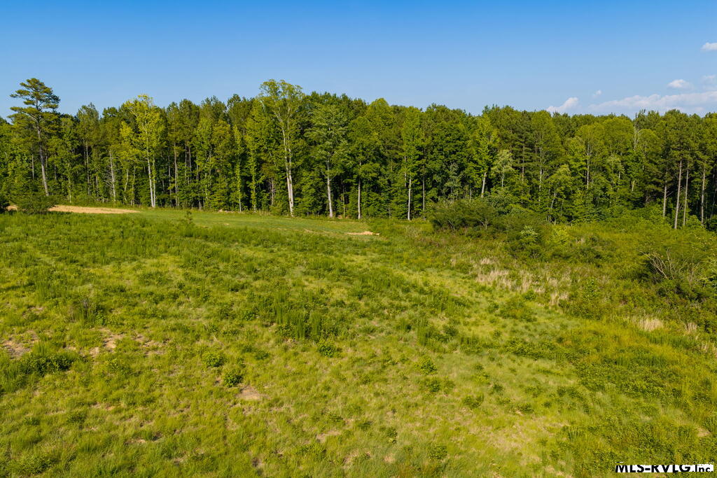 Acreage at Lot 4 Oak Road, Brodnax VA 23920, photo 21 of 24