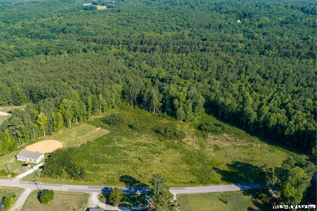 Acreage at Lot 4 Oak Road, Brodnax VA 23920, photo 4 of 24