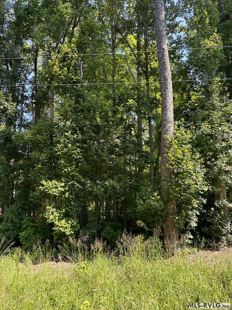 Residential Lot-Restricted at Lot 223 Sunset Drive, Littleton NC 27850, photo 7 of 18