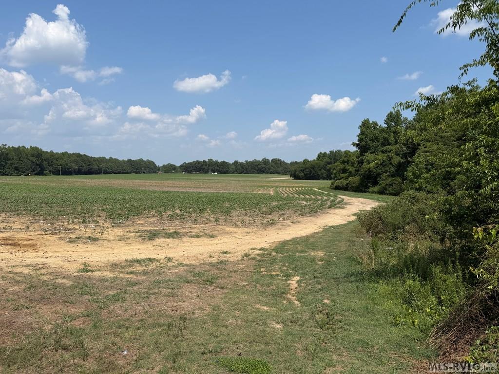 Acreage at 0 Rhea Smith Road, Roanoke Rapids NC 27870, photo 2 of 9