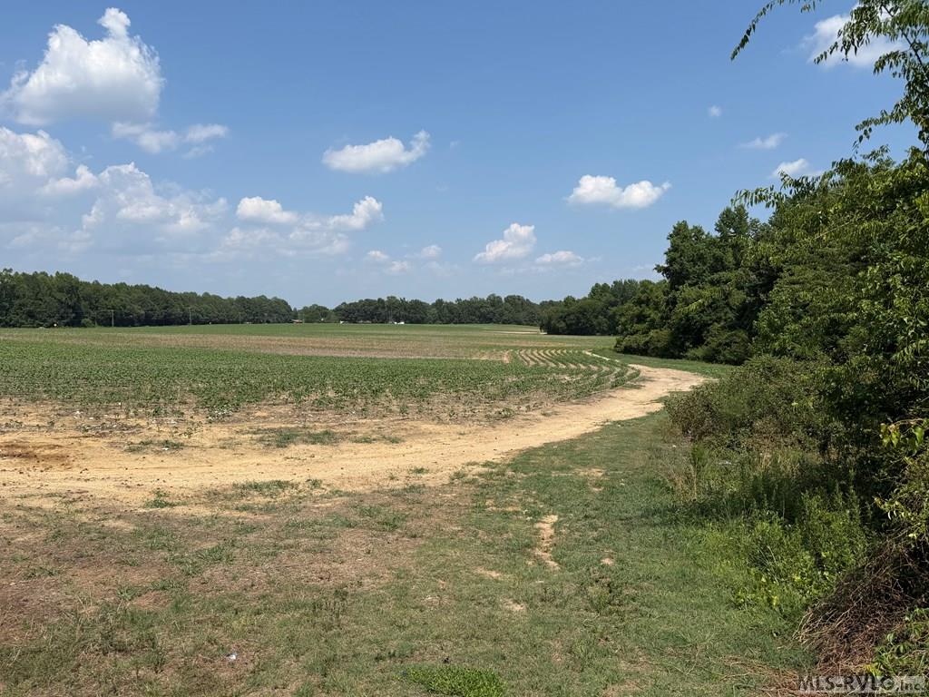 Acreage at 0 Rhea Smith Road, Roanoke Rapids NC 27870, photo 3 of 9