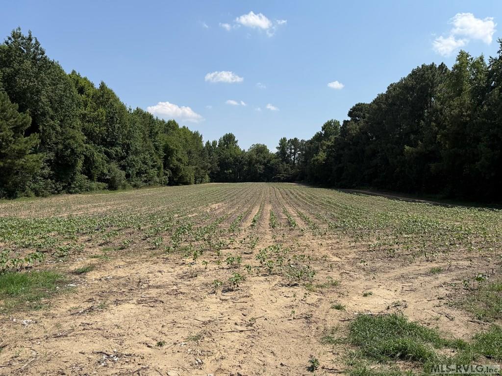 Acreage at 0 Rhea Smith Road, Roanoke Rapids NC 27870, photo 5 of 9