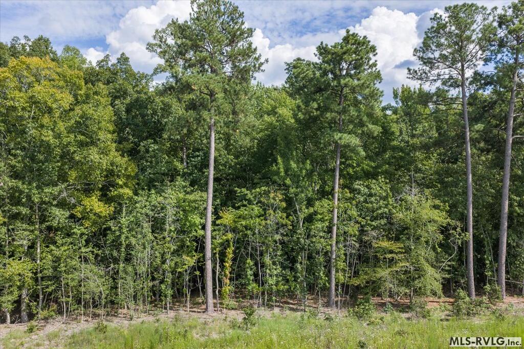Residential Lot-Restricted at Lot 43 Valentines St., Gasburg VA 23857, photo 12 of 14