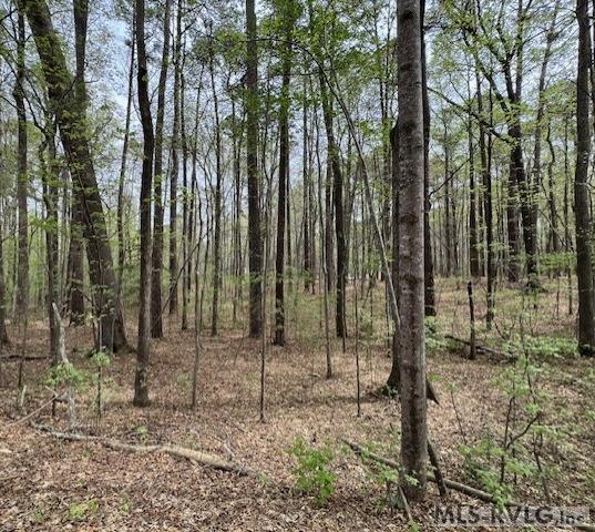Residential Lot-Restricted at 0 Forest Hills Dr, Littleton NC 27850, photo 20 of 20