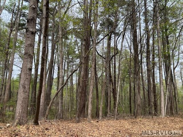 Residential Lot-Restricted at 0 Forest Hills Dr, Littleton NC 27850, photo 3 of 20