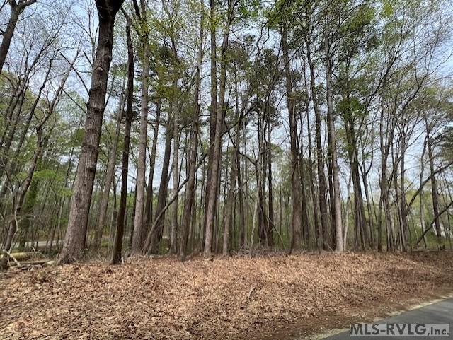 Residential Lot-Restricted at 0 Forest Hills Dr, Littleton NC 27850, photo 4 of 20