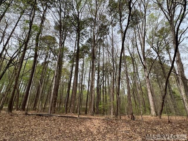Residential Lot-Restricted at 0 Forest Hills Dr, Littleton NC 27850, photo 5 of 20
