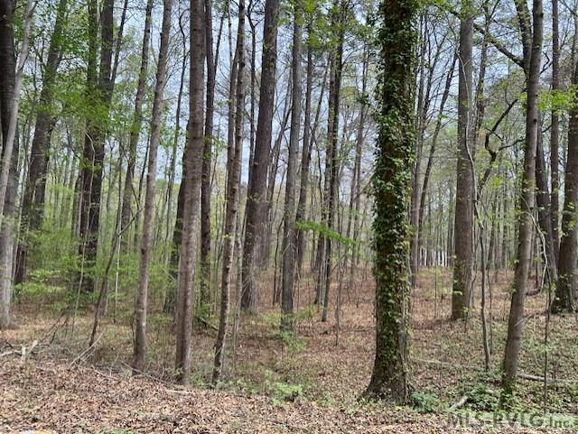 Residential Lot-Restricted at 0 Forest Hills Dr, Littleton NC 27850, photo 6 of 20