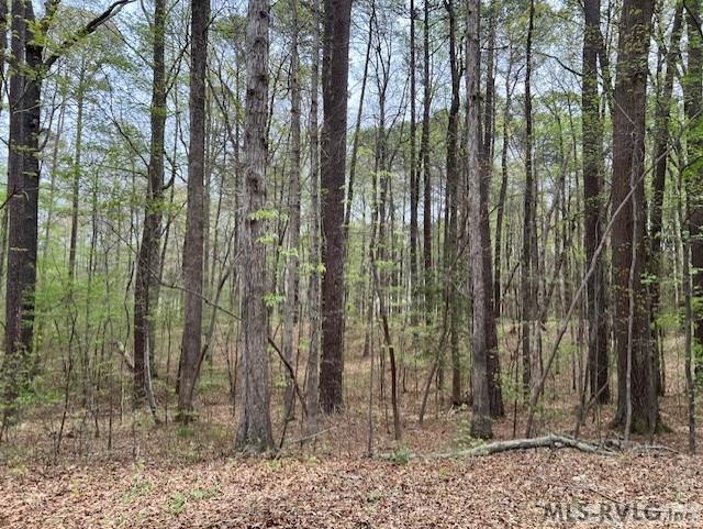 Residential Lot-Restricted at 0 Forest Hills Dr, Littleton NC 27850, photo 7 of 20