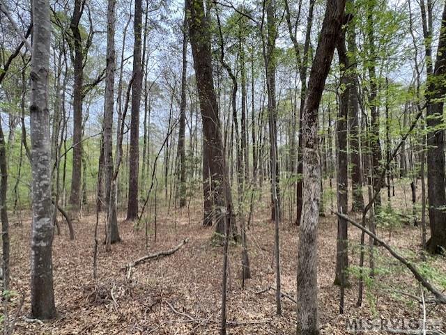Residential Lot-Restricted at 0 Forest Hills Dr, Littleton NC 27850, photo 8 of 20