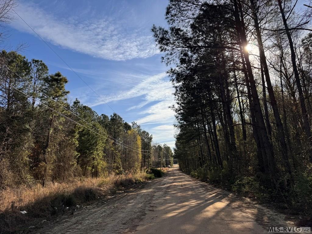 Acreage at 163 Deer Run Rd, Roanoke Rapids NC 27870, photo 3 of 6