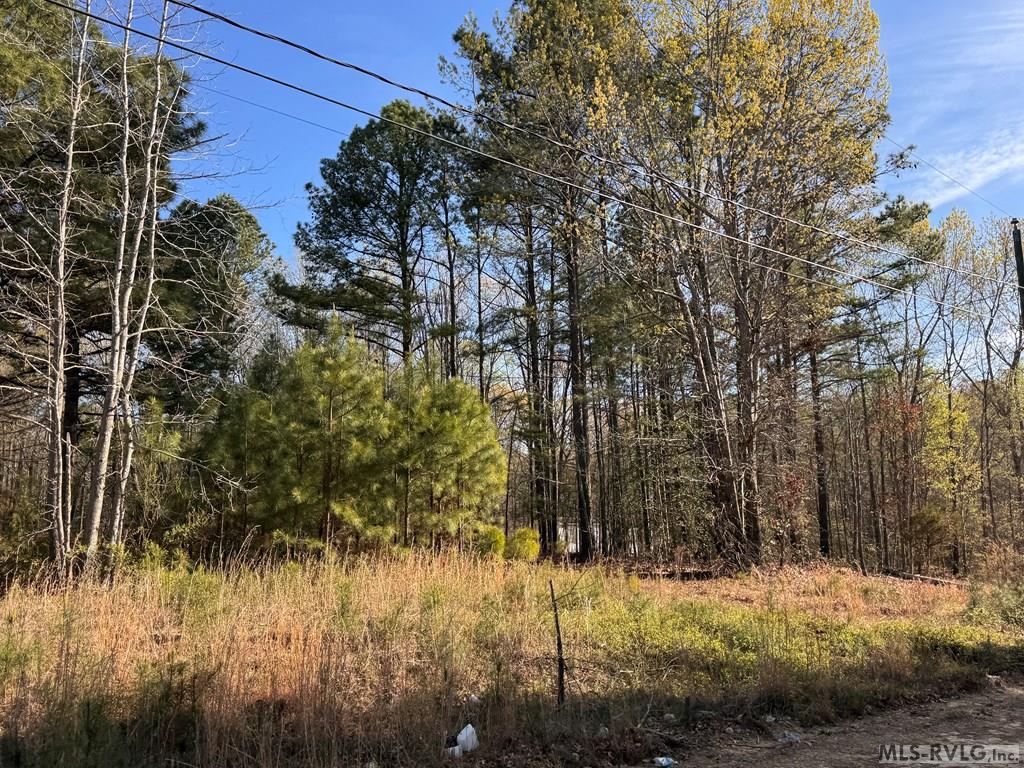 Acreage at 163 Deer Run Rd, Roanoke Rapids NC 27870, photo 4 of 6