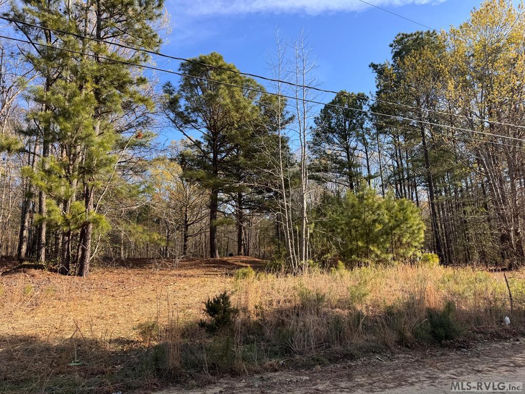 Acreage at 163 Deer Run Rd, Roanoke Rapids NC 27870, photo 5 of 6