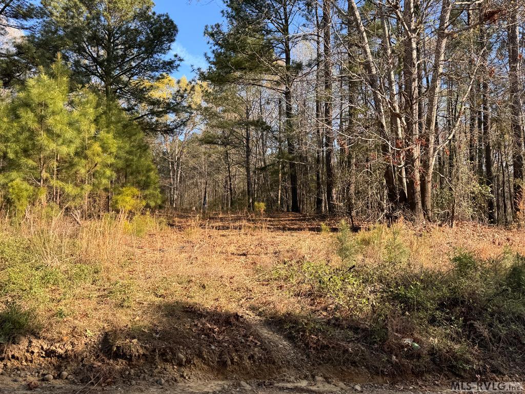 Acreage at 163 Deer Run Rd, Roanoke Rapids NC 27870, photo 6 of 6