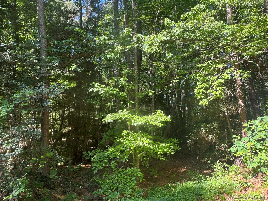 Main View - Lot 56P Hickory Ct, Bracey VA 23919