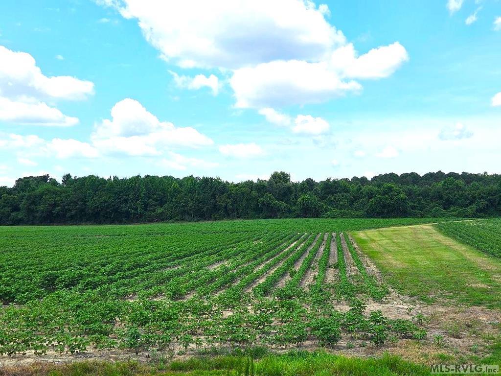 00 Highway 125, Roanoke Rapids NC 27870