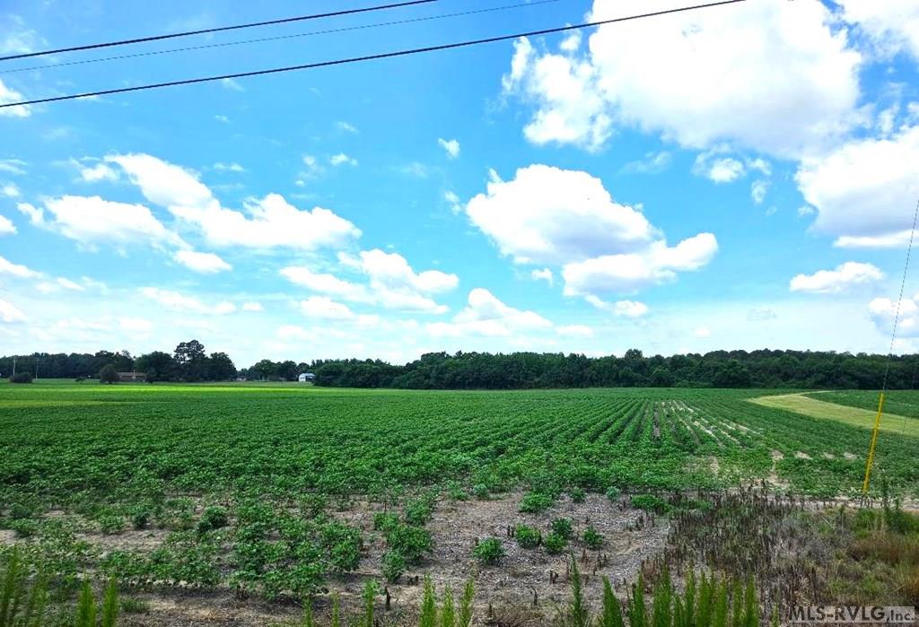 Commercial at 00 Highway 125, Roanoke Rapids NC 27870, photo 4 of 5