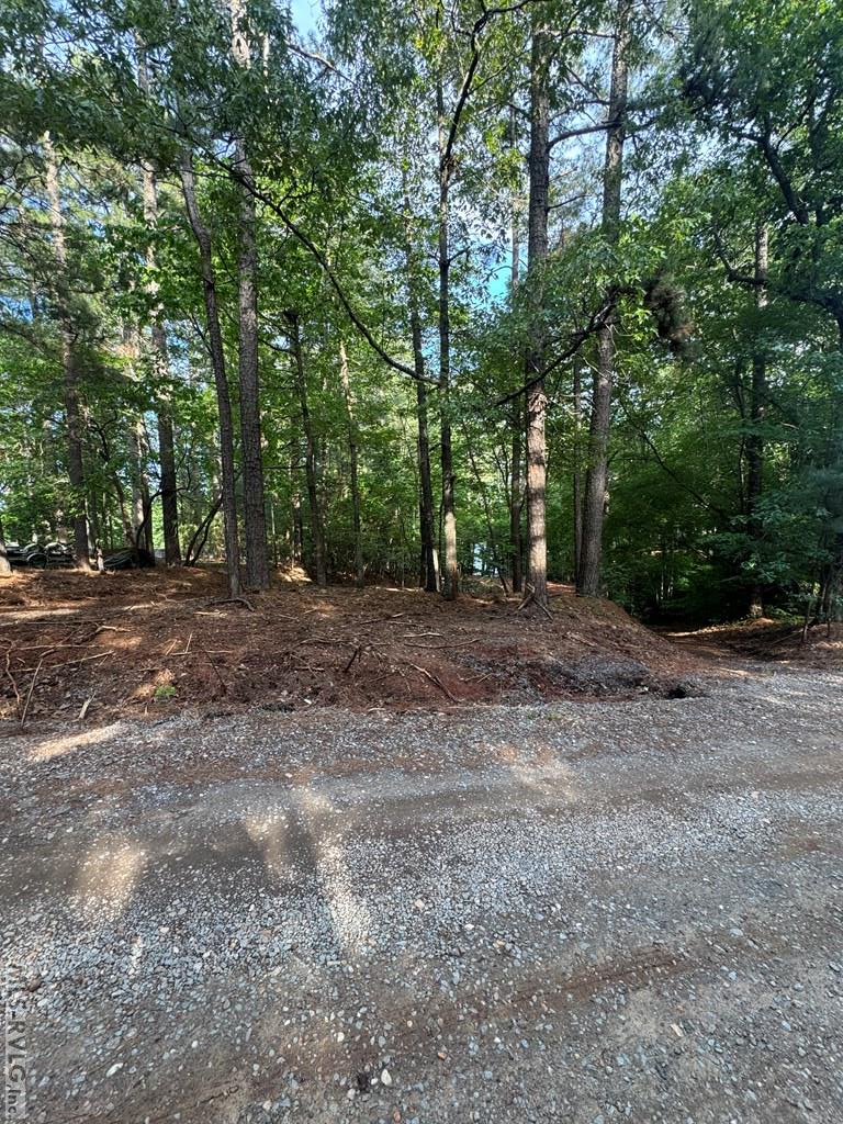 Residential Lot-Restricted at 0 Forest Cove Dr, Littleton NC 27850, photo 2 of 7