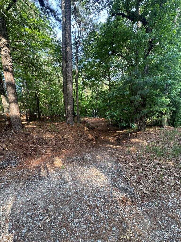 Residential Lot-Restricted at 0 Forest Cove Dr, Littleton NC 27850, photo 3 of 7