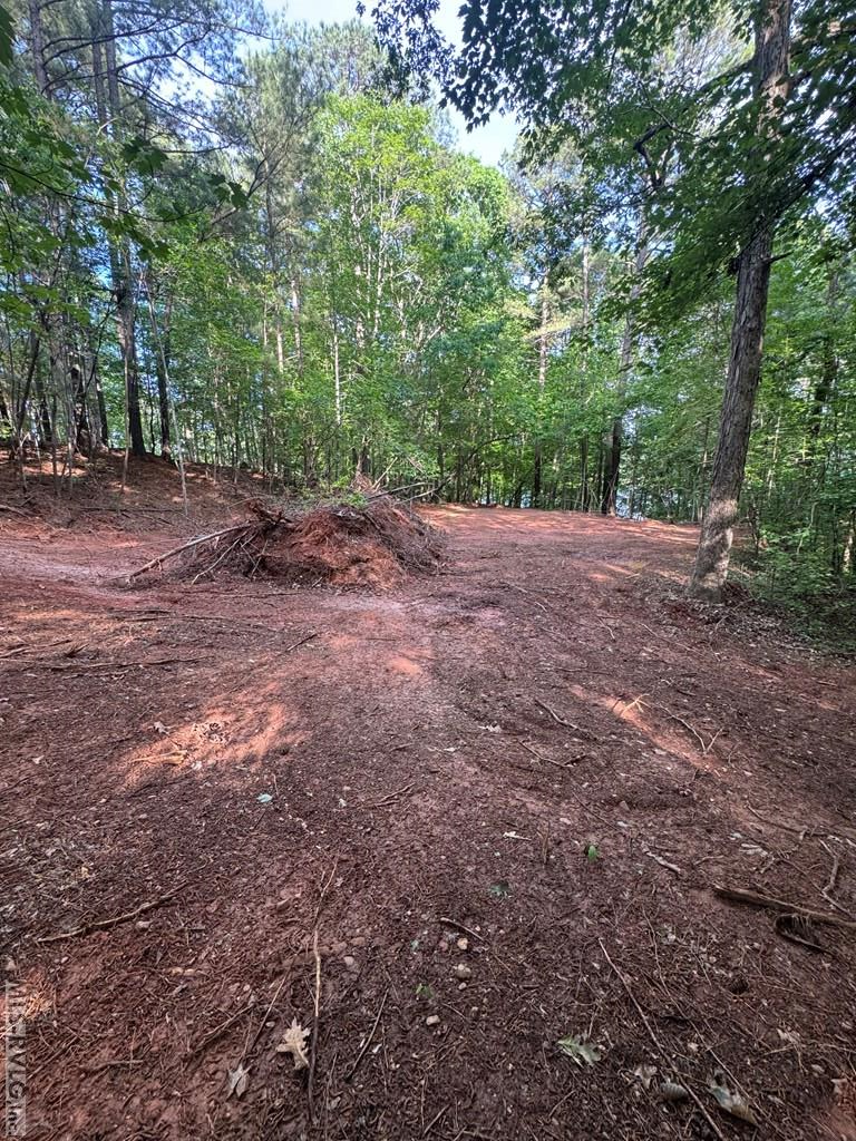 Residential Lot-Restricted at 0 Forest Cove Dr, Littleton NC 27850, photo 4 of 7