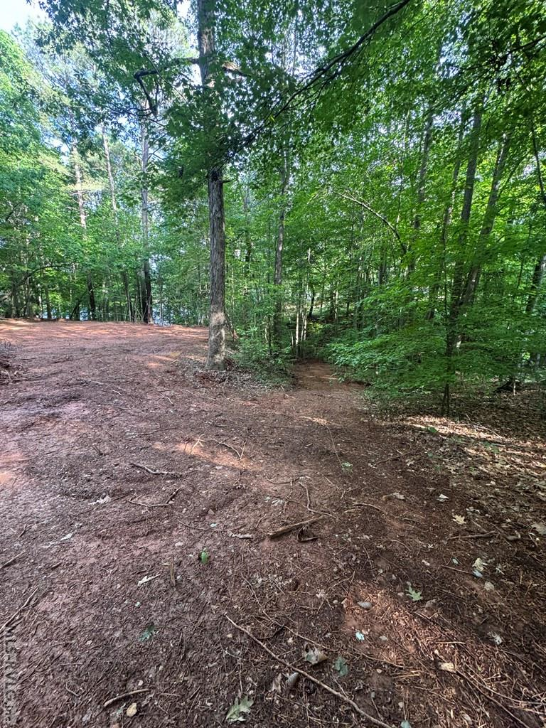 Residential Lot-Restricted at 0 Forest Cove Dr, Littleton NC 27850, photo 5 of 7