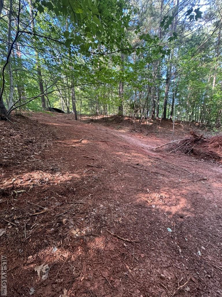 Residential Lot-Restricted at 0 Forest Cove Dr, Littleton NC 27850, photo 6 of 7