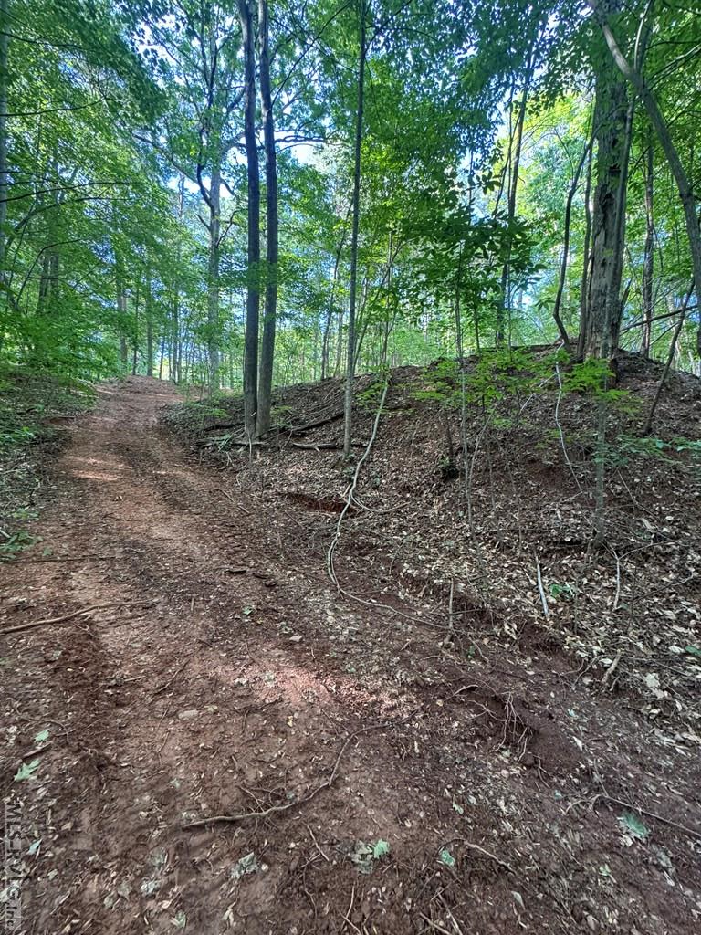 Residential Lot-Restricted at 0 Forest Cove Dr, Littleton NC 27850, photo 7 of 7