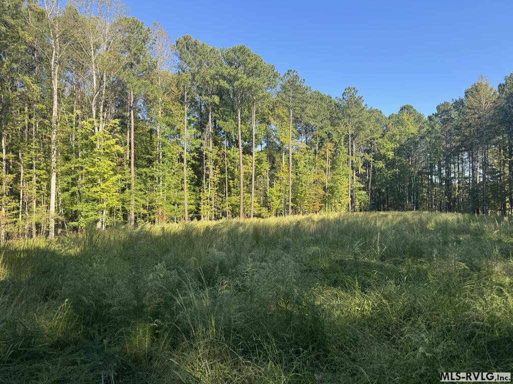 Residential Lot-Restricted at Lot Taylors Pointe Lane, Henderson NC 27537, photo 11 of 34