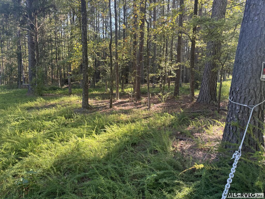 Residential Lot-Restricted at Lot Taylors Pointe Lane, Henderson NC 27537, photo 17 of 34